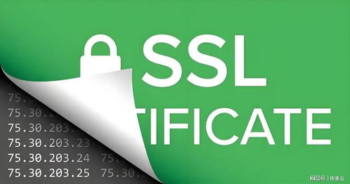 2025年濟(jì)南網(wǎng)站建設(shè)公司推薦